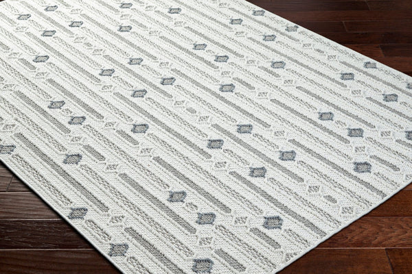 Livabliss Bouclair Flatweave Polyester Area Rug Turkey Woven for High Traffic Living Spaces BCR2310-679