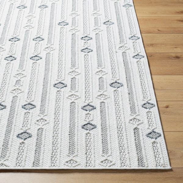 Livabliss Bouclair Flatweave Polyester Area Rug Turkey Woven for High Traffic Living Spaces BCR2310-679
