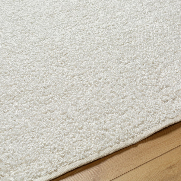 Surya Boculette 2' X 3' Handmade Rug - Soft, Durable, Minimalist Design Perfect For High Traffic Areas Off,White Recycled Pet Yarn Bct2300-268