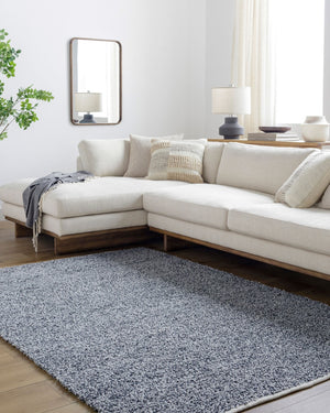 Surya Boculette 2' X 3' Handmade Rug - Soft, Durable, Minimalist Design Perfect For High Traffic Areas Dark Blue Recycled Pet Yarn Bct2302-268