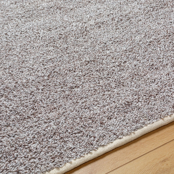 Surya Boculette 2' X 3' Handmade Rug - Soft, Durable, Minimalist Design Perfect For High Traffic Areas Medium Brown Recycled Pet Yarn Bct2303-23