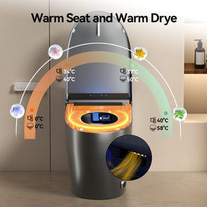 English Elm Unique Intelligent One Piece Toilet with Bidet Warm Air Dryer and Auto Sensor Seat Gray W3133P476382