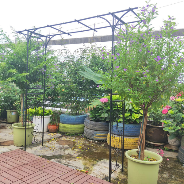 English Elm Metal Powder-coated Garden Arch Galvanized Steel Frame for Climbing Roses Outdoor W1586P148590