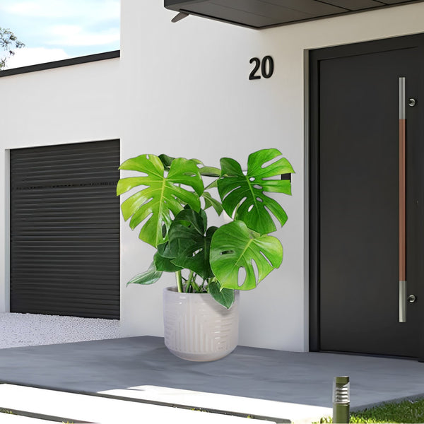 English Elm Ceramic Planter - Hand-Crafted Modern Flowerpot For Indoor & Outdoor Use In Elegant White Finish W3273P326369