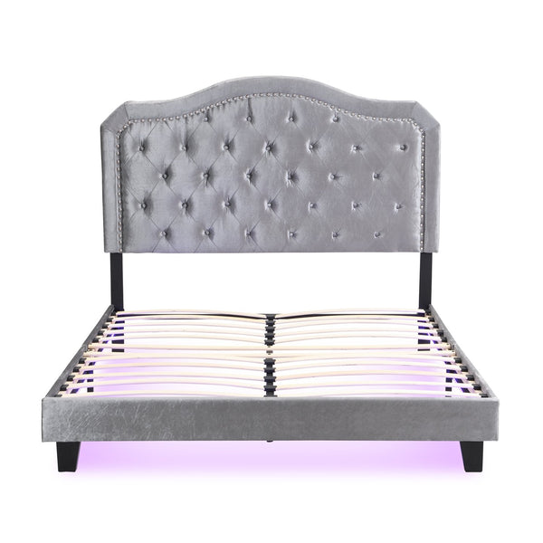 English Elm Upholstered Queen Platform Bed Grey Velvet Tufted Curved Headboard with Led Lighting W311P228694
