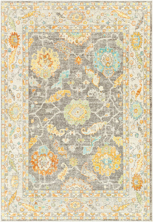 Livabliss Bodrum Traditional Polypropylene Area Rug Machine Woven in Turkey for Indoor Outdoor Use BDM2340-81012