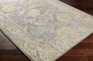 Livabliss Bodrum Traditional Polypropylene Area Rug Machine Woven in Turkey for Indoor Outdoor Use BDM2340-81012