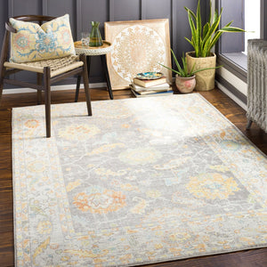 Livabliss Bodrum Traditional Polypropylene Area Rug Machine Woven in Turkey for Indoor Outdoor Use BDM2340-81012