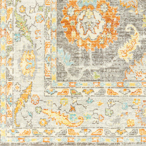 Livabliss Bodrum Traditional Polypropylene Area Rug Machine Woven in Turkey for Indoor Outdoor Use BDM2340-81012