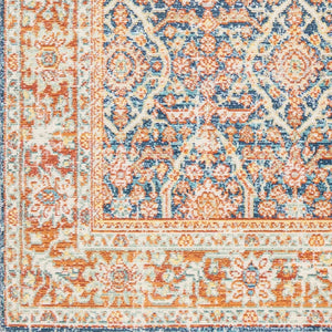 Livabliss Bodrum Traditional Medallion Polypropylene Area Rug Turkey Woven Low Pile Indoor BDM2348-81012