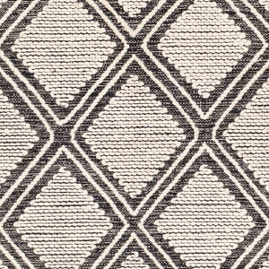 Livabliss Bedouin Handwoven Cotton Wool Blend Bohemian Accent Rug with Knotted Fringe for Entryways Black, Cream 3' x 5' BDO2304-35