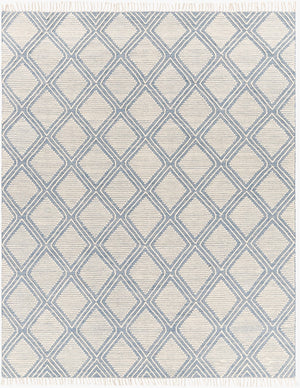 Surya Bedouin 2' X 3' Handmade Wool-cotton Rug – Unique Global Flair, Durable No-pile Design, Fringe Accent Denim Cotton,Wool Bdo2305-576