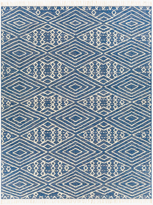 Surya Bedouin 2' X 3' Handmade Wool-cotton Rug – Unique Global Flair, Durable No-pile Design, Fringe Accent Blue Cotton,Wool Bdo2309-23