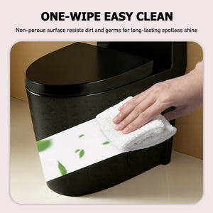 English Elm One-piece Elongated Porcelain Toilet Dual Flush Ada Comfort Height Soft Close Seat Black W1920P420642