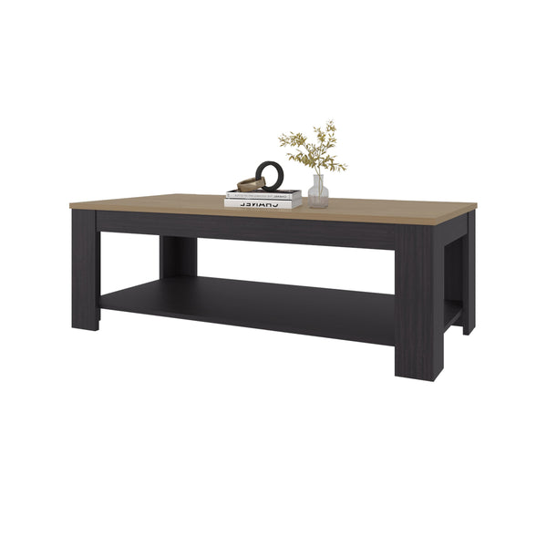 English Elm Rectangular Modern Coffee Table with Lower Shelf in Wenge & Oak Finish, 47.2" Wide, Versatile Decor B128P375312