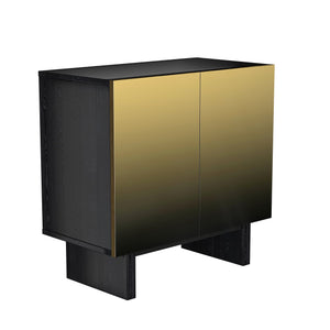 English Elm Modern Matte Black Accent Cabinet with Gold Wire Mesh Doors, Adjustable Shelves, Versatile Storage T3609P333087