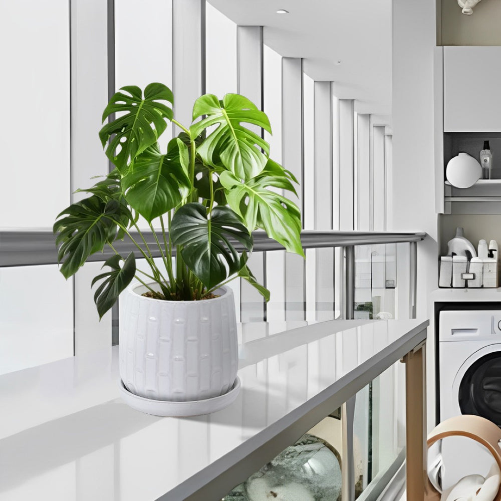 English Elm Set Of 2 Elegant White Ceramic Planters - Modern 7" Flowerpots For Indoor & Outdoor Decor W3273P322304-GIGA