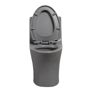 English Elm 1.1/1.60 Gpf Dual Flush One Piece Elongated Comfort Height Toilet with Soft Close Seat W1920P425618