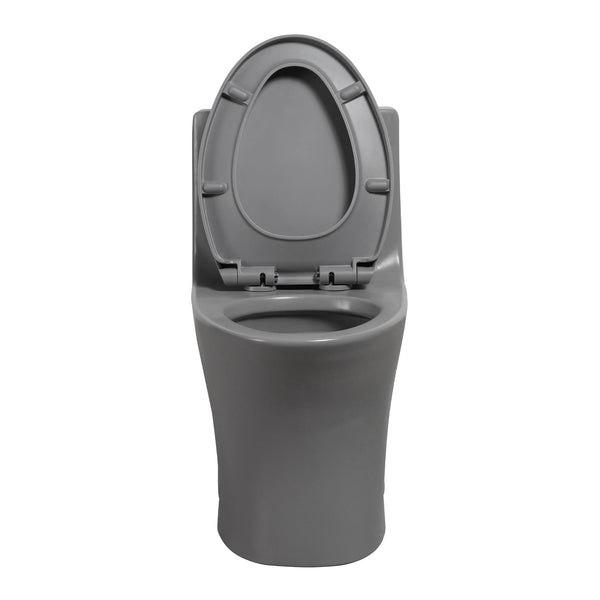 English Elm 1.1/1.60 Gpf Dual Flush One Piece Elongated Comfort Height Toilet with Soft Close Seat W1920P425618