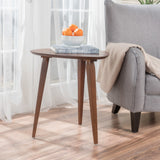 Christopher Knight Home® - Noble House - Hoyt Walnut Wood End Table