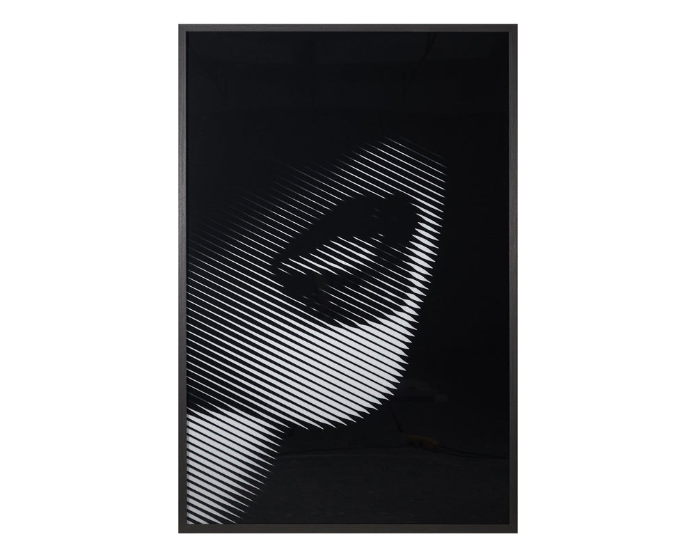 Sunpan Stage Fright Acrylic Wall Art – Modern Luxe Print in Charcoal Wood Frame for Contemporary Spaces