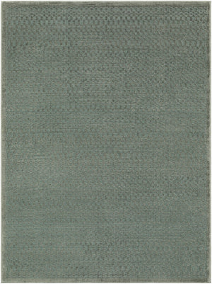 Livabliss Brugge Machine Woven Polypropylene Area Rug for High Traffic Living Spaces Dark Green, Med 6'7" x 9' BGG2321-679