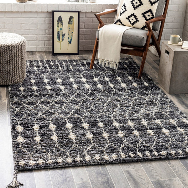Surya Birch Handmade Rug 2' X 3' – Bohemian Style, Eco-friendly, Soft & Durable Global Decor Accent Black Recycled Pet Yarn Bhc2301-23