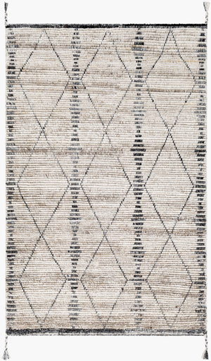 Surya Birch Handmade Rug 2' X 3' – Bohemian Style, Eco-friendly, Soft & Durable Global Decor Accent Light Beige Recycled Pet Yarn Bhc2302-23