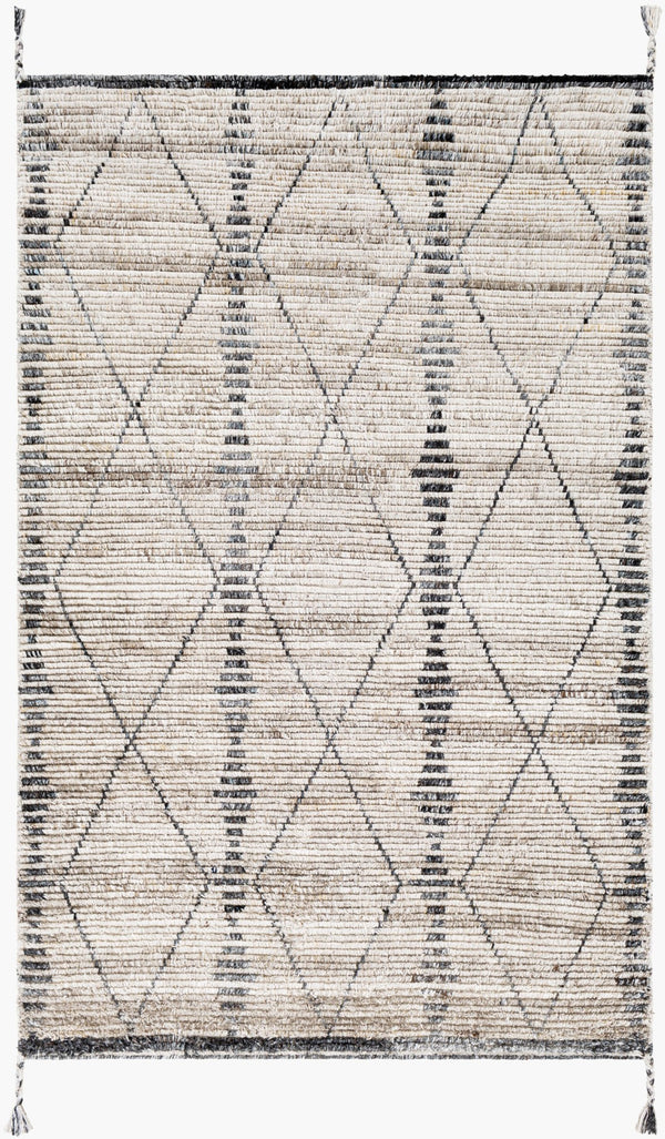 Surya Birch Handmade Rug 2' X 3' – Bohemian Style, Eco-friendly, Soft & Durable Global Decor Accent Light Beige Recycled Pet Yarn Bhc2302-23