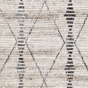 Surya Birch Handmade Rug 2' X 3' – Bohemian Style, Eco-friendly, Soft & Durable Global Decor Accent Light Beige Recycled Pet Yarn Bhc2302-23