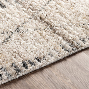 Surya Birch Handmade Rug 2' X 3' – Bohemian Style, Eco-friendly, Soft & Durable Global Decor Accent Light Beige Recycled Pet Yarn Bhc2302-23