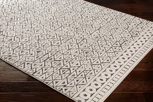 Livabliss Bahar Global Pattern Accent Rug Machine Woven Polypropylene Entryway Bedside Decor BHR2315-23