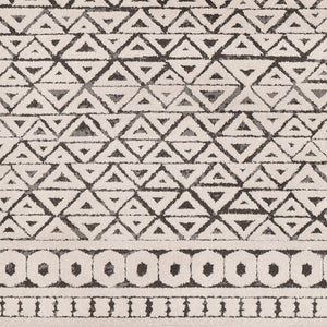 Livabliss Bahar Global Pattern Accent Rug Machine Woven Polypropylene Entryway Bedside Decor BHR2315-23