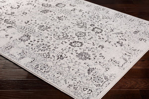 Livabliss Bahar Traditional Turkish Machine Woven Polypropylene Area Rug for Living Rooms BHR2317-5373