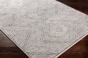 Livabliss Bahar Bohemian Global Pattern Area Rug Turkish Woven Polypropylene Entryway Accent BHR2325-2211
