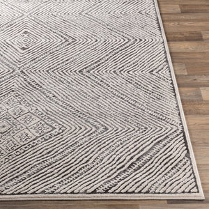 Livabliss Bahar Bohemian Global Pattern Area Rug Turkish Woven Polypropylene Entryway Accent BHR2325-2211