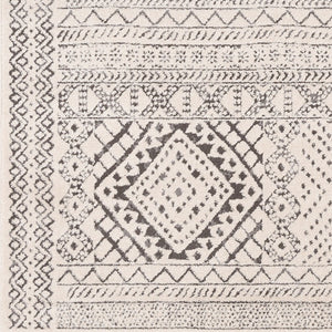 Livabliss Bahar Global Motif Machine Woven Polypropylene Accent Rug for Entryway or Bedroom BHR2327-2211