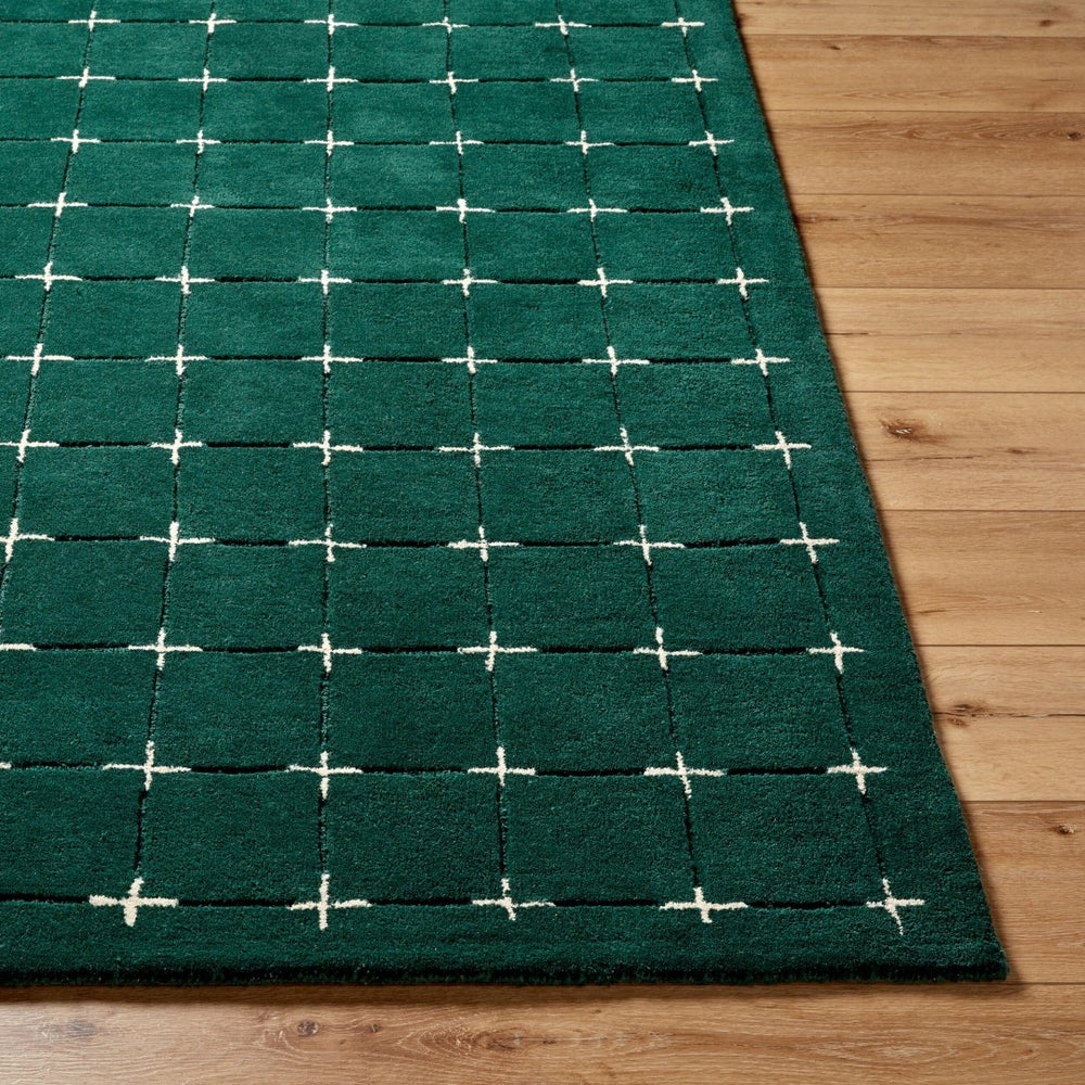 Livabliss Brook Art Deco Hand Tufted Wool Area Rug for Living Room or Primary Bedroom Dark Green, Lig 9' x 12' BKO2333-912