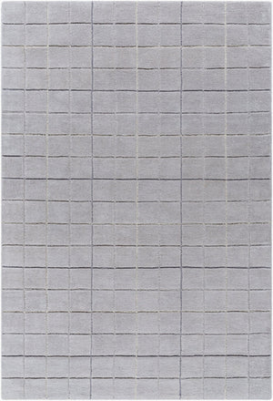 Livabliss Brook Hand Tufted Wool Accent Rug for Entryways Bedside and Small Living Spaces Slate Gray, Cha 2' x 3' BKO2346-23
