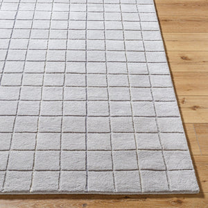 Livabliss Brook Hand Tufted Wool Accent Rug for Entryways Bedside and Small Living Spaces Slate Gray, Cha 2' x 3' BKO2346-23
