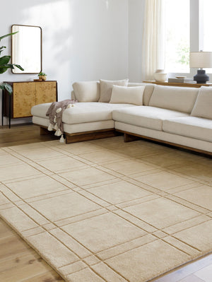Livabliss Brook Hand Tufted Wool Area Rug for Living Room Dining or Bedroom Artisan Crafted Tan 9' x 12' BKO2357-912