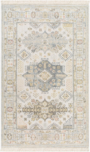 Livabliss Belfast Hand-loomed Cotton Accent Rug with Fringe Border for Entryway or Bedside Ivory, Slate Bl 27" x 45" BLF2300-2745