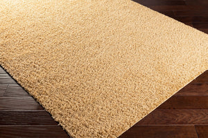 Livabliss Bliss Shag High-pile Polypropylene Accent Rug Soft Cozy Entryway Bedroom Floor Mat BLI2304-23