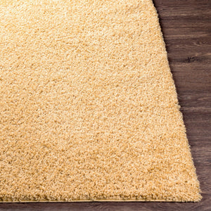 Livabliss Bliss Shag High-pile Polypropylene Accent Rug Soft Cozy Entryway Bedroom Floor Mat BLI2304-23