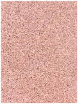 Livabliss Bliss Shag Polypropylene Area Rug Plush Pile Modern Accent for Entryway or Bath BLI2309-23