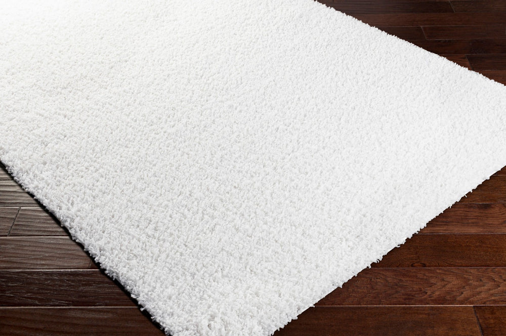 Livabliss Bliss Shag Polypropylene Area Rug Plush Pile Machine Woven for Entryway Decor BLI2311-23