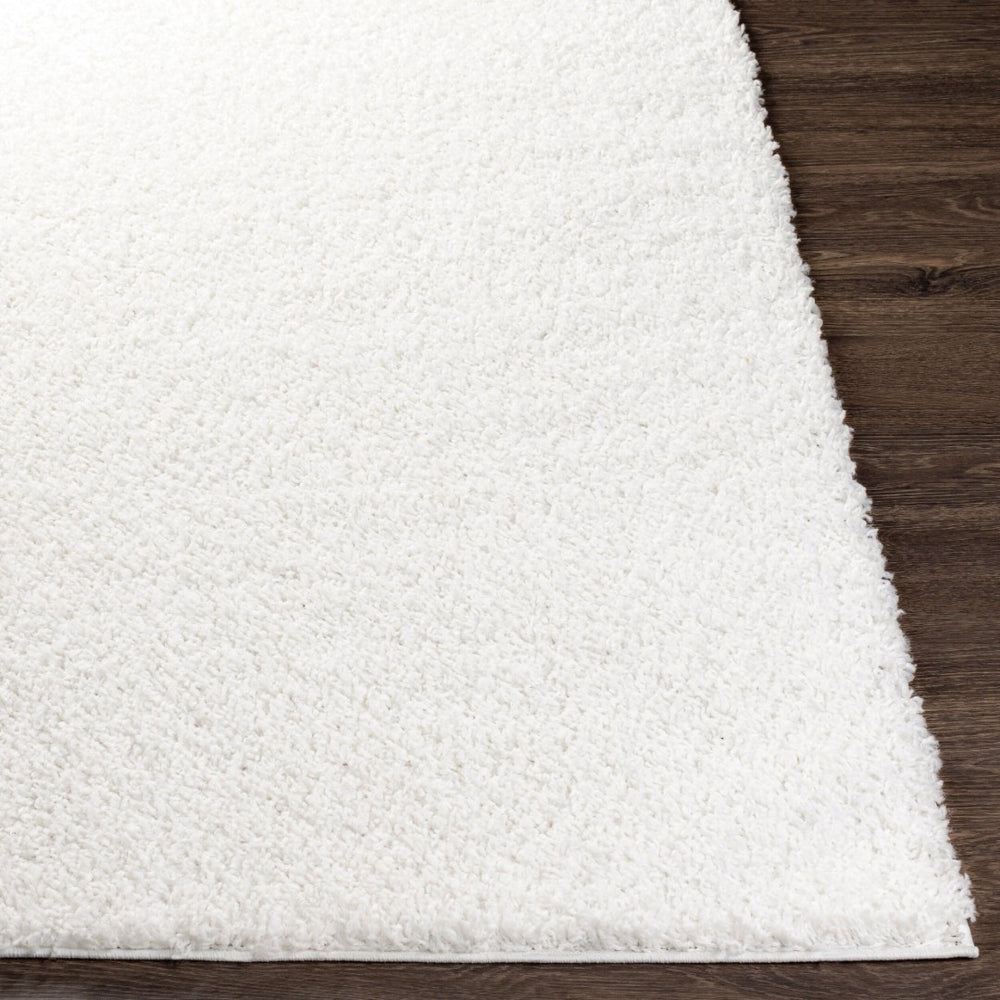 Livabliss Bliss Shag Polypropylene Area Rug Plush Pile Machine Woven for Entryway Decor BLI2311-23