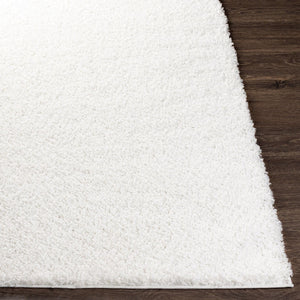 Livabliss Bliss Shag Polypropylene Area Rug Plush Pile Machine Woven for Entryway Decor BLI2311-23