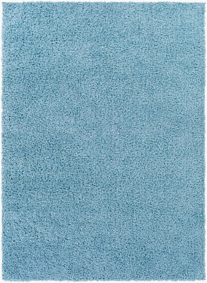Livabliss Bliss Shag Plush Polypropylene Area Rug Machine Woven Entryway Accent in Turkey BLI2313-23