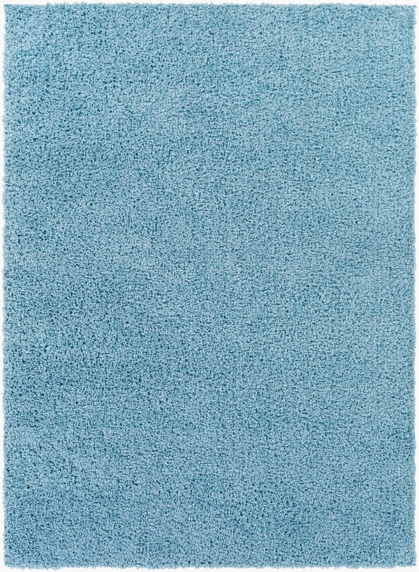 Livabliss Bliss Shag Plush Polypropylene Area Rug Machine Woven Entryway Accent in Turkey BLI2313-23